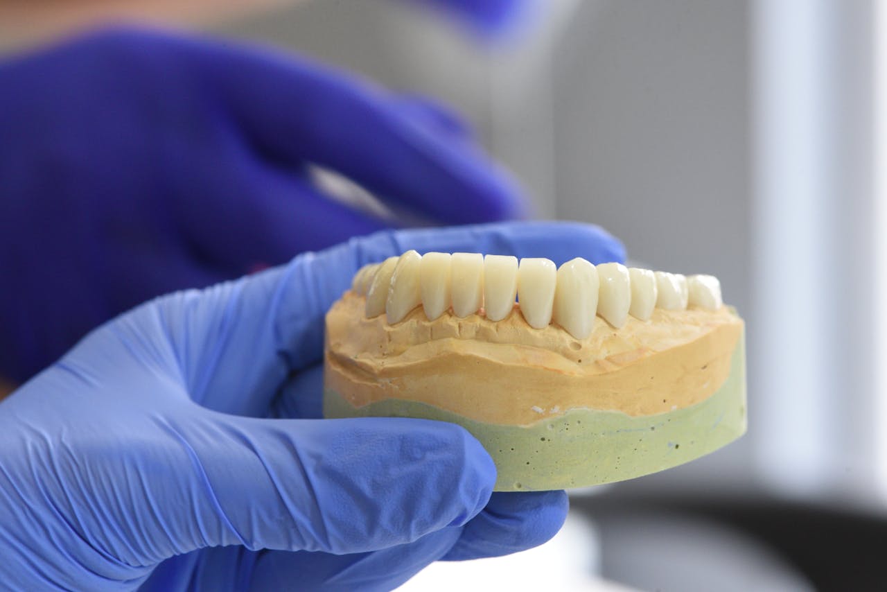 The Art of Drawing Readers In: Your attractive post title goes here Primer plano de un modelo dental sostenido por manos enguantadas en un laboratorio.